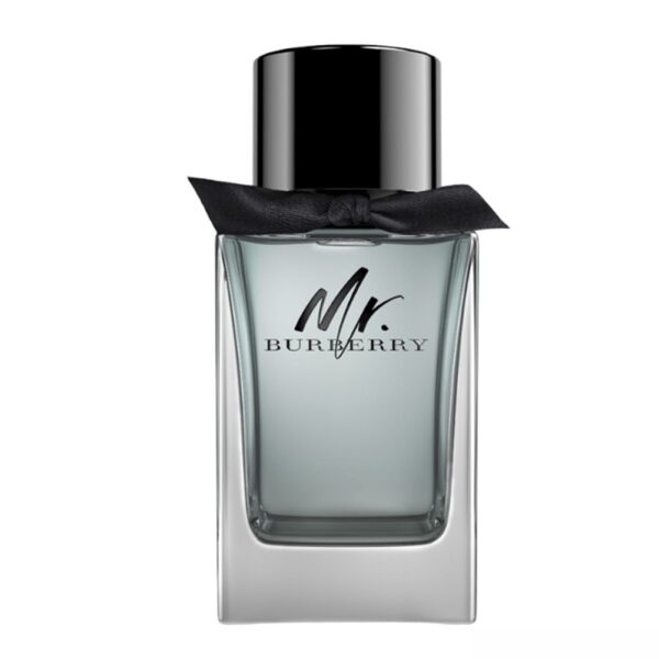 Burberry Mr. Burberry Eau de Toilette 100ml