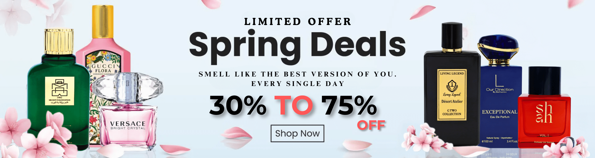 SHOP NOW (7)