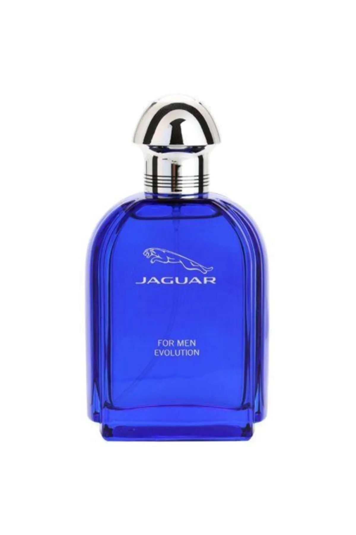 Jaguar
  Evolution Perfume for Men Eau de Toilette EDT 100ml