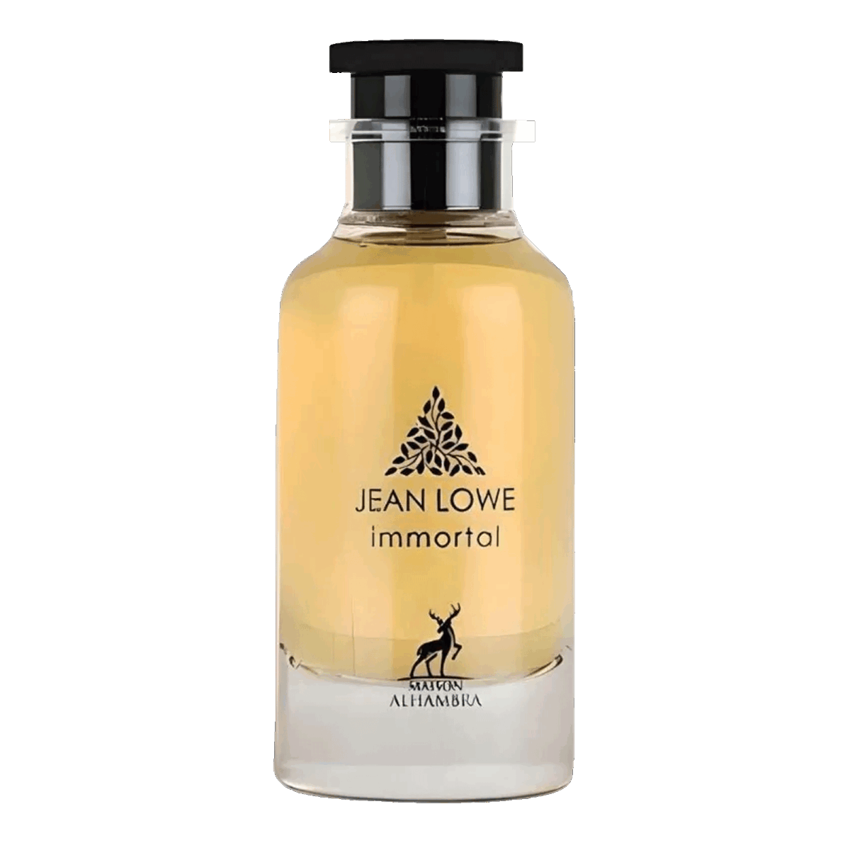 Lattafa Maison Lowe Immortal EDP 100ml – Lattafa Perfumes UAE
