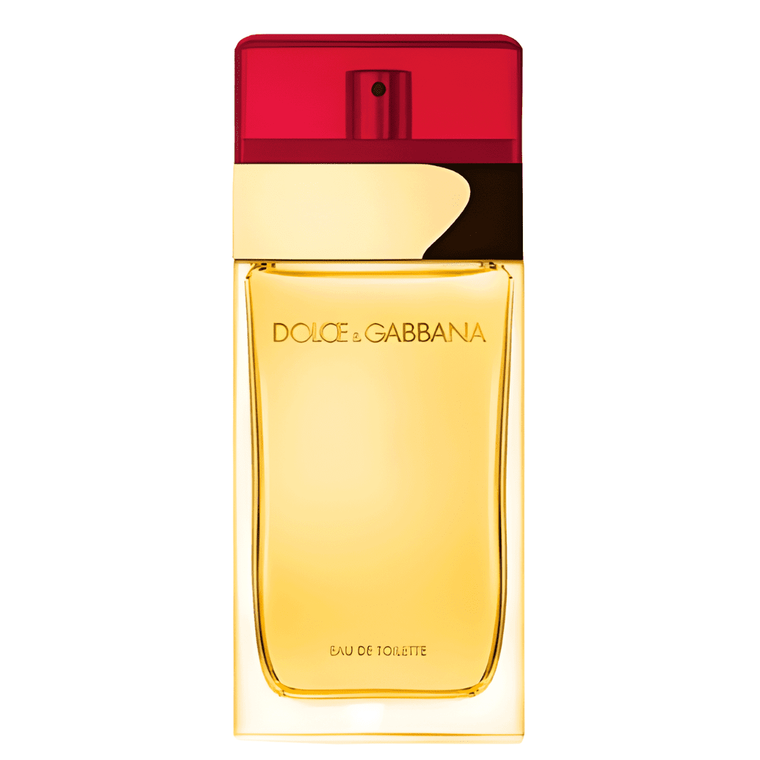 Dolce
  & Gabbana Femme Red Perfume Eau de Toilette EDT 100ml