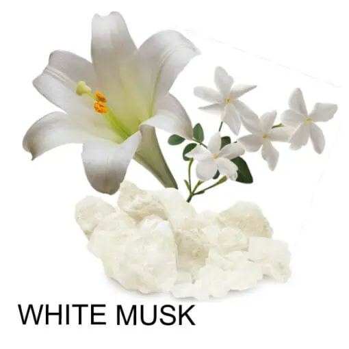 WHITE-MUSK-Bild-Duftbeschreibung-300x300px-510x510-1.webp
